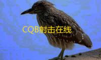 CQB射击在线